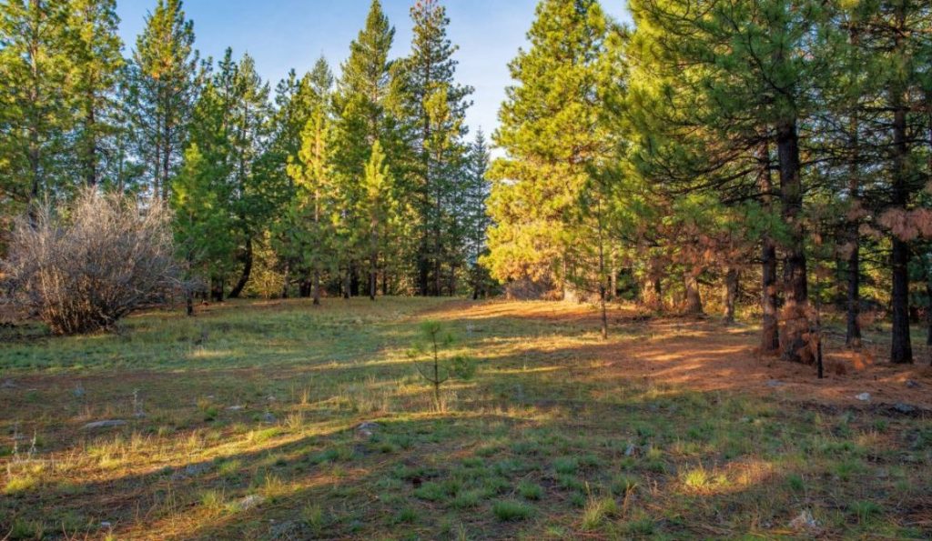 Southern Oregon Ranch For Sale - Ashland, Oregon - Jackson County